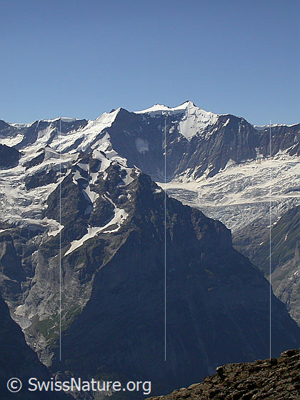 Foto: Ochs, Hinter Fiescherhorn und Gross Fiescherhorn von NW (Gipfel Schwarzhorn)
Im Vordergrund: Gwächta, Ankenbälli und Mättenberg.
