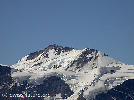 Foto: Trugberg von NE (Gipfel Schwarzhorn)
Im Vordergrund: Walcherhorn
Ganz rechts ist der Abschnitt des Mittellegigrats zu sehen, auf welchen die Mittellegihütte gebaut wurde. Etwas weiter links ist der Sporn zu sehen, auf welchem die Berglihütte steht.
