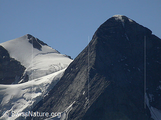 Foto: Gipfel von Mittelhorn und Wetterhorn von NNW (Gipfel Schwarzhorn)