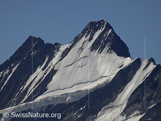 Foto: Gipfel von Lauteraarhorn und Schreckhorn von NNW (Gipfel Schwarzhorn)