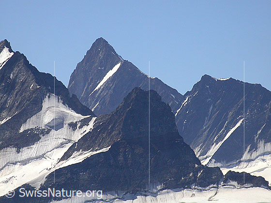 Foto: Finsteraarhorn und Kleines Schreckhorn von NNW (Gipfel Schwarzhorn)