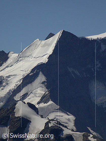 Foto: Ochs von N (Gipfel Schwarzhorn)
Links vom Gipfel des Ochs ist die Spitze des Gross Grünhorn sichtbar, im Vordergrund der Gipfel des Mättenberg.