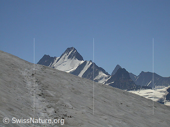 Foto: Lauteraarhorn, Schreckhorn und Finsteraarhorn von N (Abstieg Schwarzhorn)
