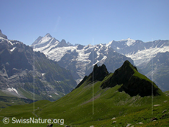 Foto: Lauteraarhorn, Schreckhorn, Finsteraarhorn, Ochs und Gross Fiescherhorn von NNE (Abstieg Schwarzhorn)
Im Vordergrund: Schilt