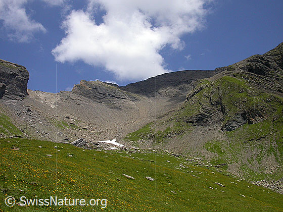 Foto: Aufstiegsroute zum Schwarzhorn, links die grosse Chrinne.