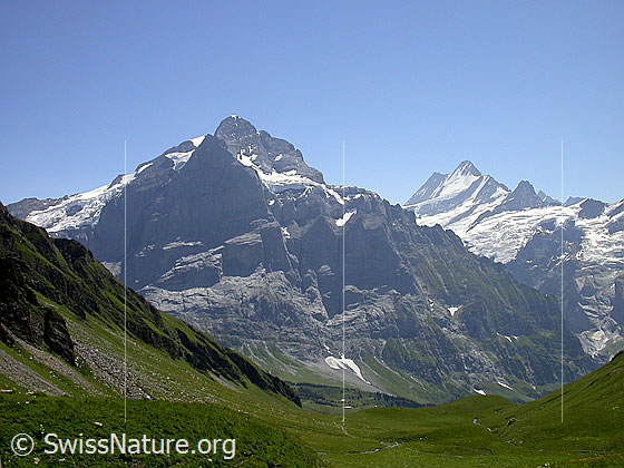 Foto: Scheideggwetterhorn, Wetterhorn, Chrinnenhorn, Lauteraarhorn und Schreckhorn von NNW (Abstieg Schwarzhorn, bei Schilt)