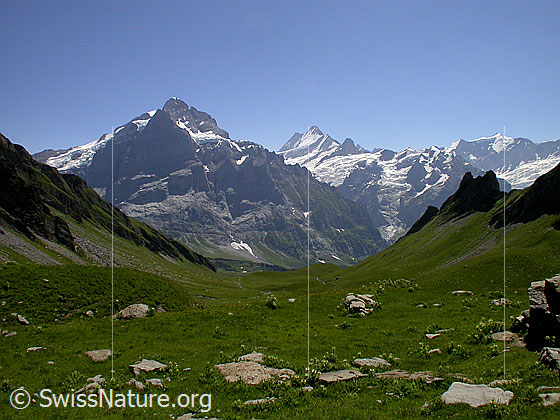 Foto: Wetterhorn, Lauteraarhorn, Schreckhorn, Ochs und Gross Fiescherhorn von NNE (Abstieg Schwarzhorn)
