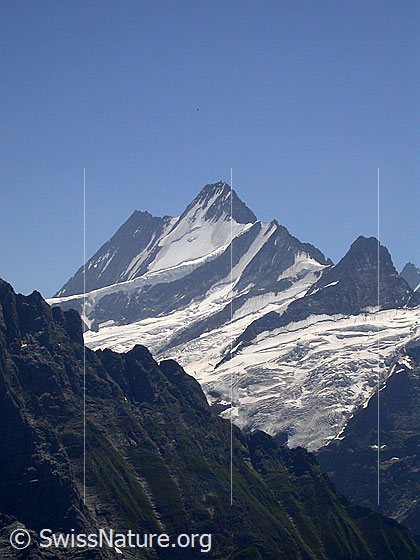 Foto: Lauteraarhorn, Schreckhorn und Klein Schreckhorn von NNE (Abstieg Schwarzhorn)