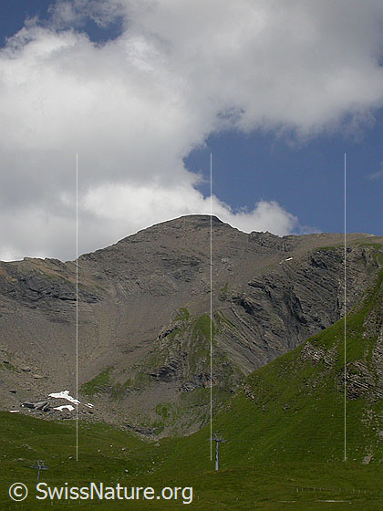 Foto: Gipfel des Schwarzhorn.