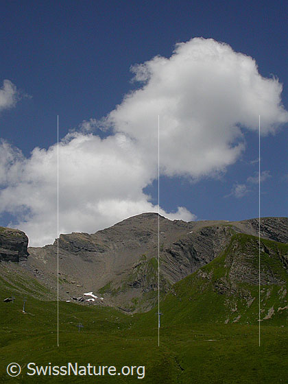 Foto: Gipfel des Schwarzhorn. Links ist die Grosse Chrinne sichtbar.