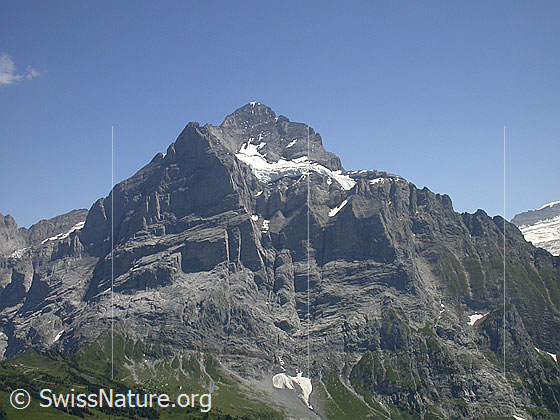 Foto: Scheideggwetterhorn, Wetterhorn und Chrinnenhorn von NNE (Abstieg Schwarzhorn)