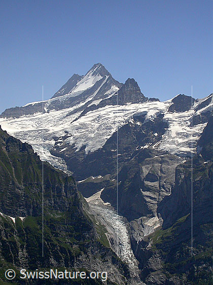 Foto: Lauteraarhorn, Schreckhorn und Klein Schreckhorn von NNE (First)
Gut zu sehen ist die Zunge des Obere Grindelwaldgletscher.