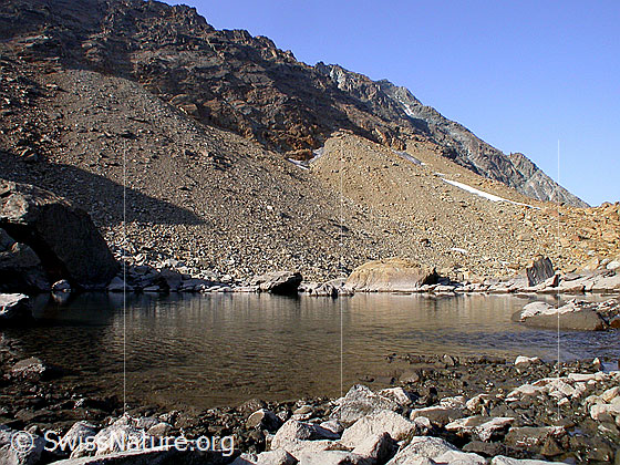 Foto: Unterster Geisspfadsee. Im Hintergrund das Schwarzhorn.