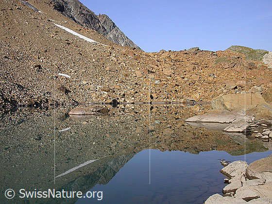 Foto: Spiegelung im untersten Geisspfadsee.