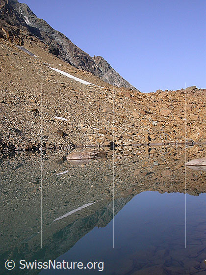 Foto: Spiegelung im untersten Geisspfadsee.