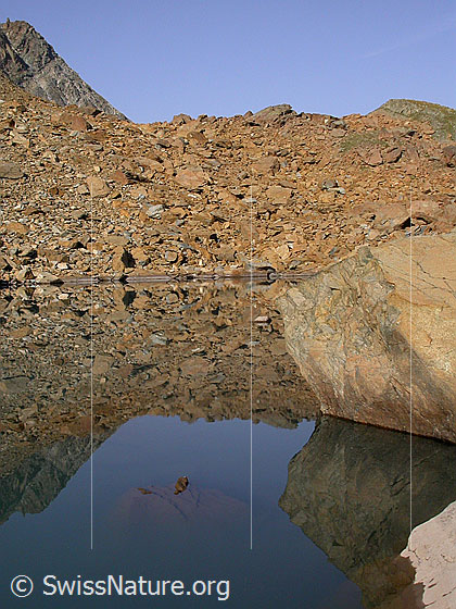 Foto: Spiegelung im untersten Geisspfadsee.