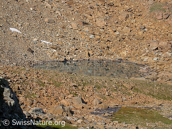 Foto: Der unterste Geisspfadsee von E