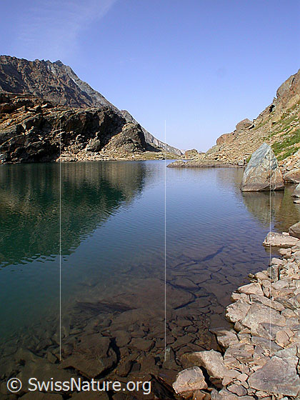 Foto: Schwache Spiegelung im Züesee. Blick Richtung W, im Hintergund das Schwarzhorn.