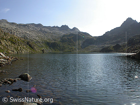 Foto: Geisspfadsee, Grampielpass und Grampielhorn von W