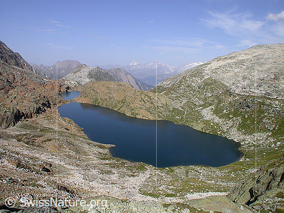 Foto: Geisspfadsee und Züesee vom Grampielpass.