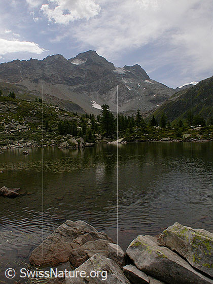 Foto: Mässersee mit Schwarzhorn