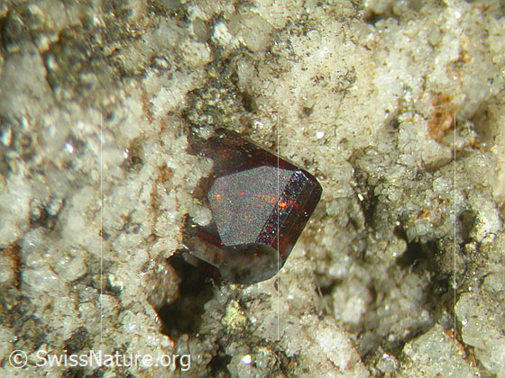 Foto: Anatas, 3mm Sammlung Hans Leuenberger