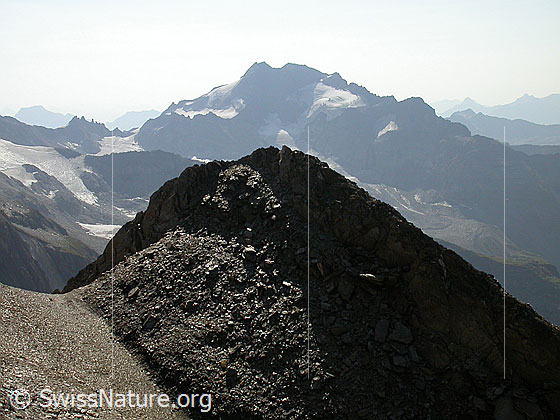 Foto: Gipfel 4. Turbechepf (Pt. 3118): Blick über den Vorgipfel zum Ofenhorn.