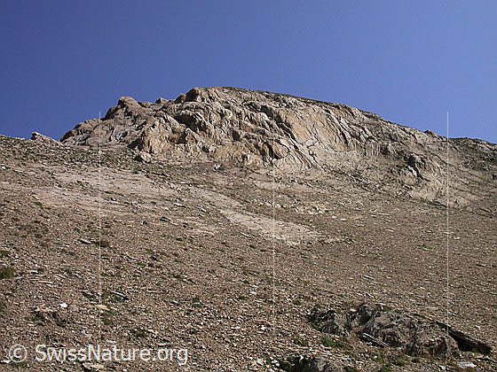 Foto: Der 2. Turbechef von S