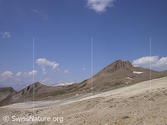 Foto: Holzjihorn von ESE.
