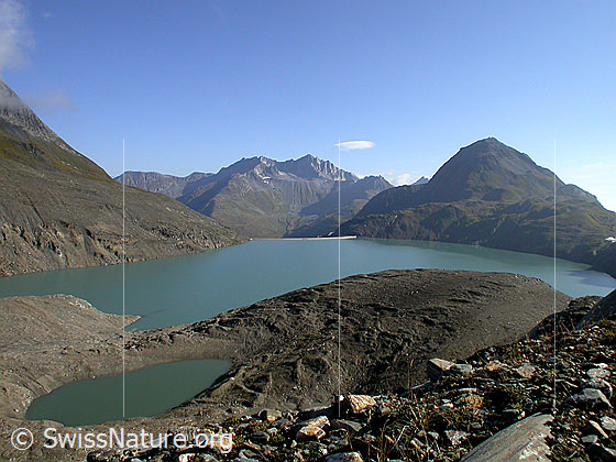 Foto: Griessee, Piz Gallina und Nufenenstock von SW
Zu sehen ist auch der See im Vorfeld des Gletschers.