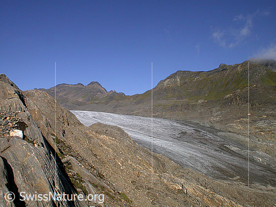 Foto: Zunge des Griesgletschers von E.
Im Hintergrund die Ritzhörner.