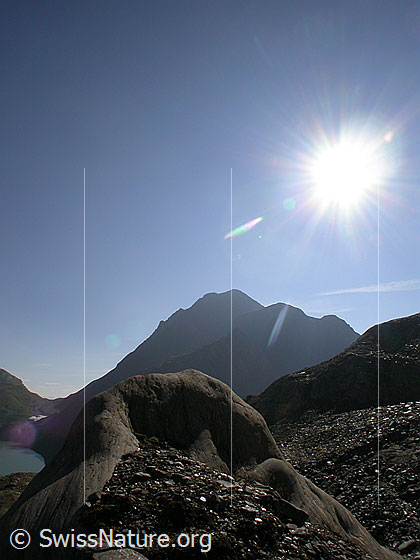 Foto: Gletscherschliff und Grieshorn im Gegenlicht.