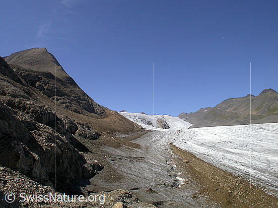 Foto: Bättelmatthorn, Blinnenhorn, Griesgletscher und Ritzhörner von ENE.