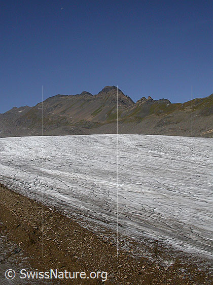 Foto: Griesgletscher und Ritzhörner.