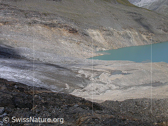 Foto: Zunge des Griesgletschers, Vorfeld des Gletschers, Ende des Griessees.