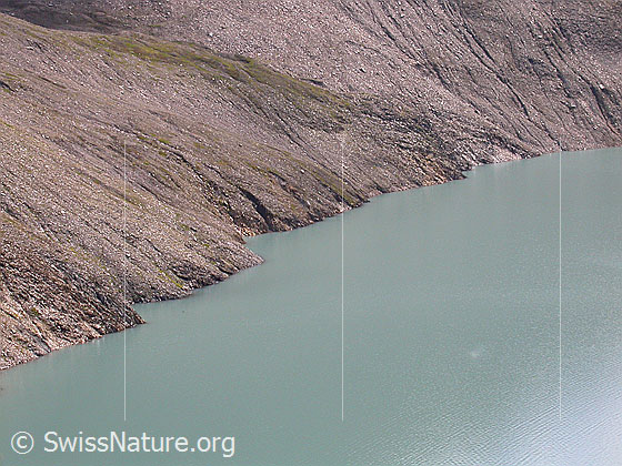 Foto: Ufer des Griessees.