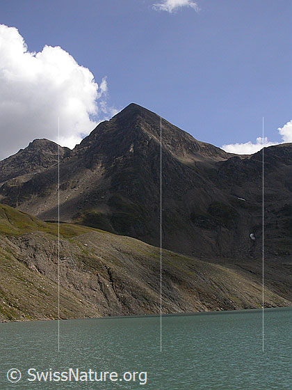Foto: Grieshorn und Griessee.