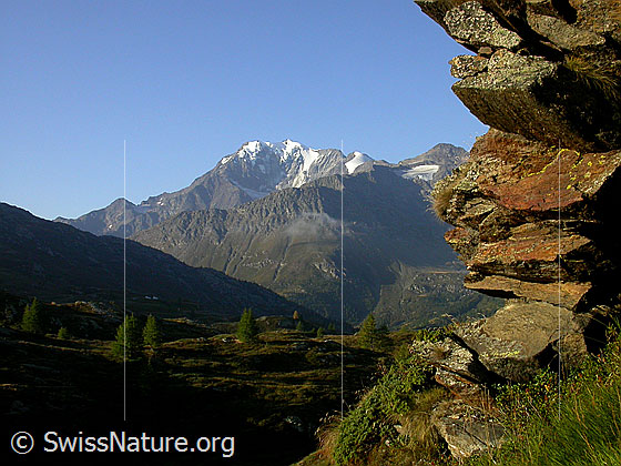 Foto: Fletschhorn und Senggchuppa von NNE (Simplon).
Vordergrund: Lärchen und Fels