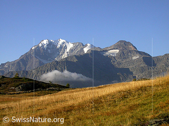 Foto: Fletschhorn, Senggchuppa und Böshorn von NNE (Simplon).