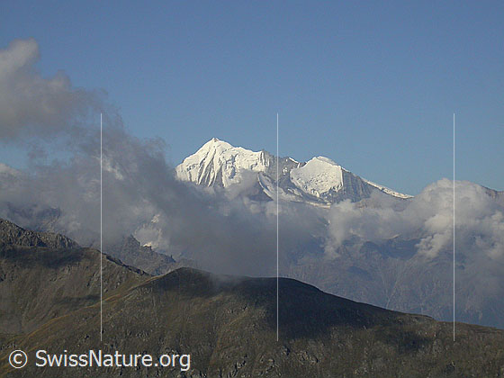 Foto: Im Aufstieg zum Spitzhorli (Nanzlicke): Blick zu Weisshorn, Brunegghorn und Bishorn.