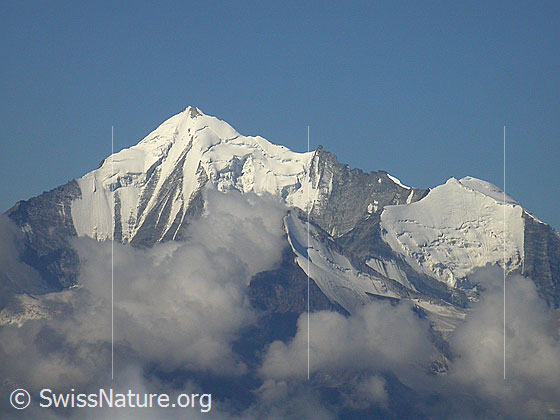 Foto: Gipfel Spitzhorli: Blick zu Weisshorn, Brunegghorn und Bishorn.
Gletscher: Am Weisshorn der oberste Teil des Bisgletscher, am Bishorn der oberste Teil des Brunegggletschers.