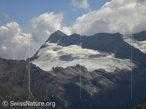 Foto: Gipfel Spitzhorli: Blick zu Monte Leone und Chaltwassergletscher.