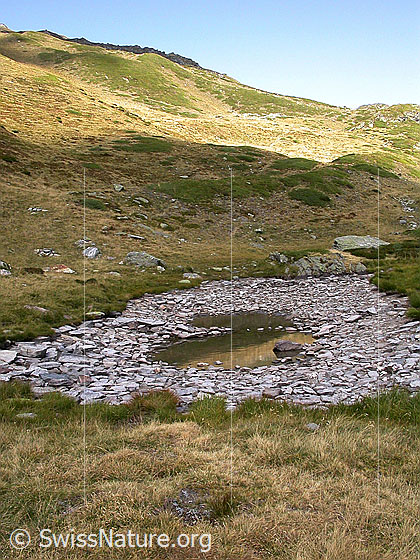 Foto: Simplonpass: Fast ausgetrockneter Bergsee.