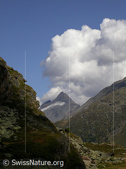 Foto: Simplonpass: Blick zum Bortelhorn.