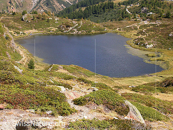 Foto: Simplonpass: Hopschusee