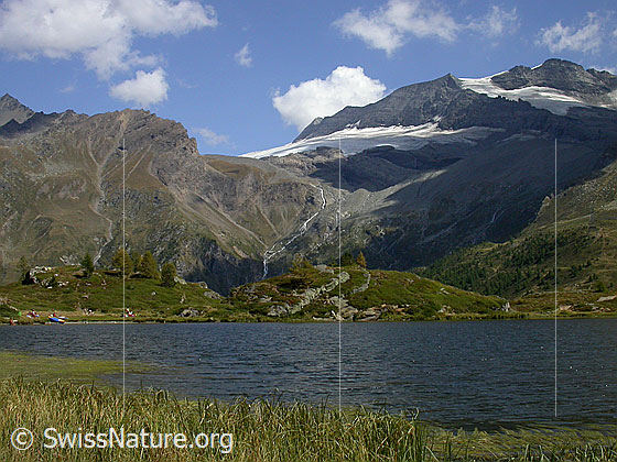 Foto: Simplonpass: Hopschusee. 
Im Hintergund: Monte Leone, Chaltwassergletscher, Homattugletscher, Breithorn.