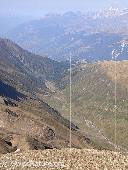 Foto: Blick vom Holzjihorn über das Rappetal.
