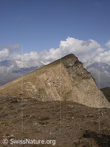 Foto: Gipfel des Holzjihorn.