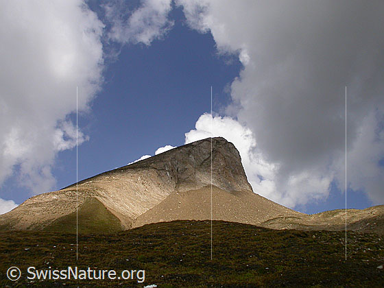 Foto: Holzjihorn von S