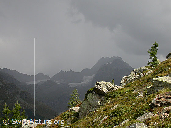 Foto: Gewitter über dem Ofenhorn.